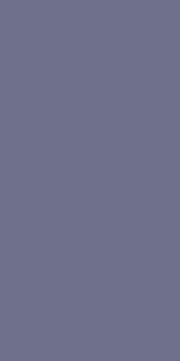 （4281C）