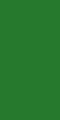 （2458C）