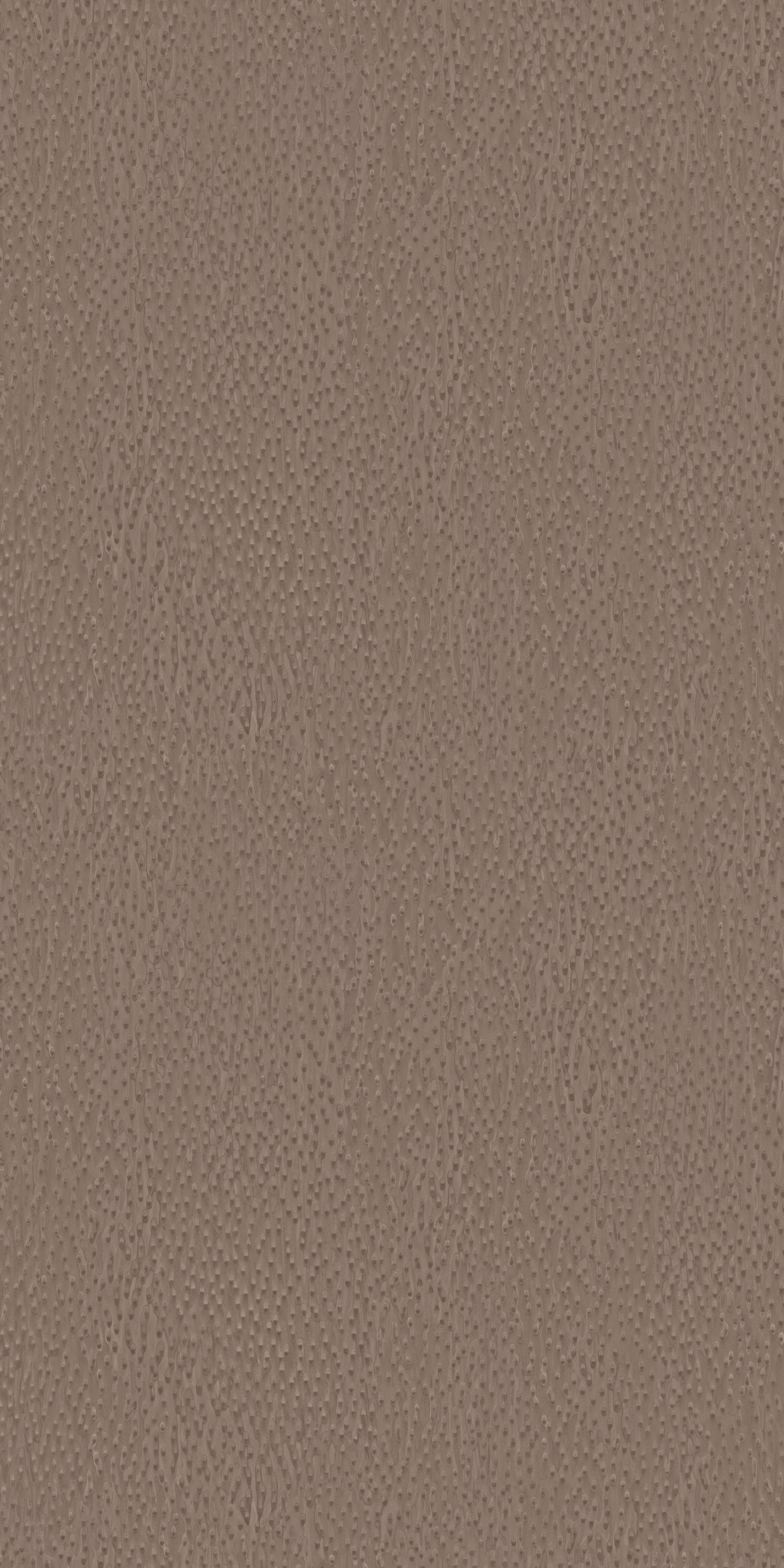 1350X（L20462-A罗马影木）